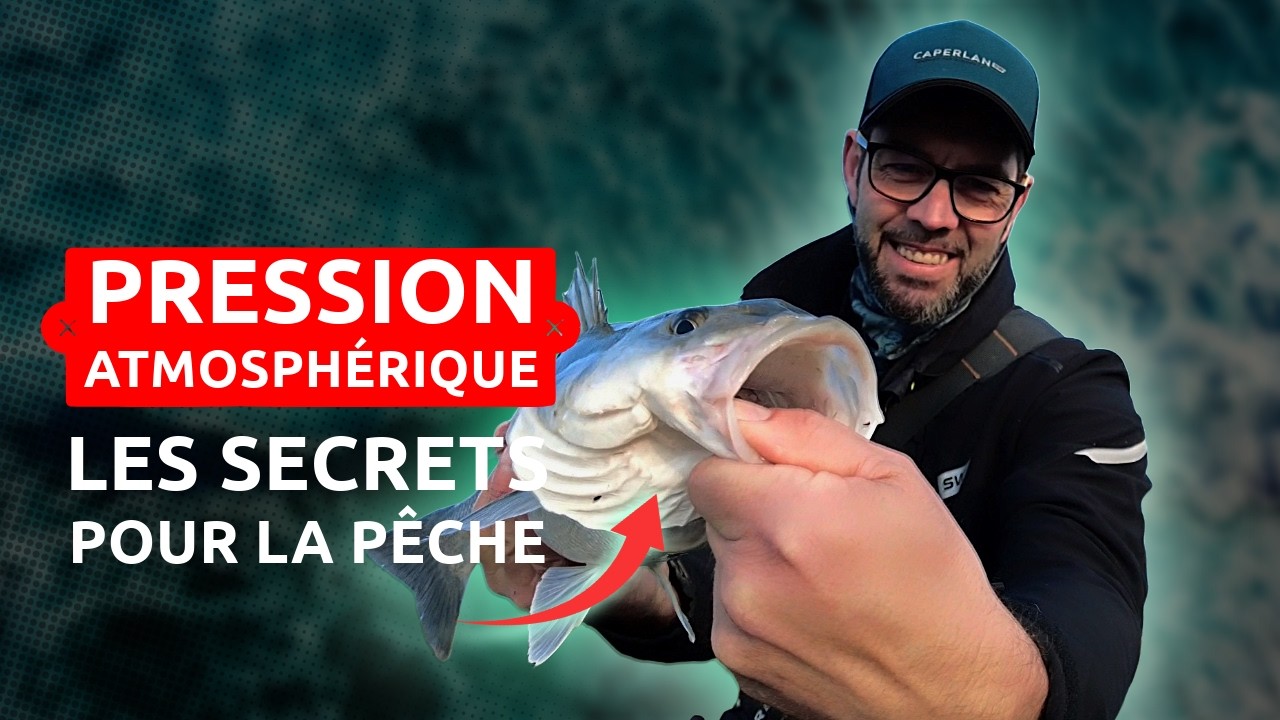 La VÉRITABLE influence de la pression atmosphérique sur VOS PRISES en bord de mer