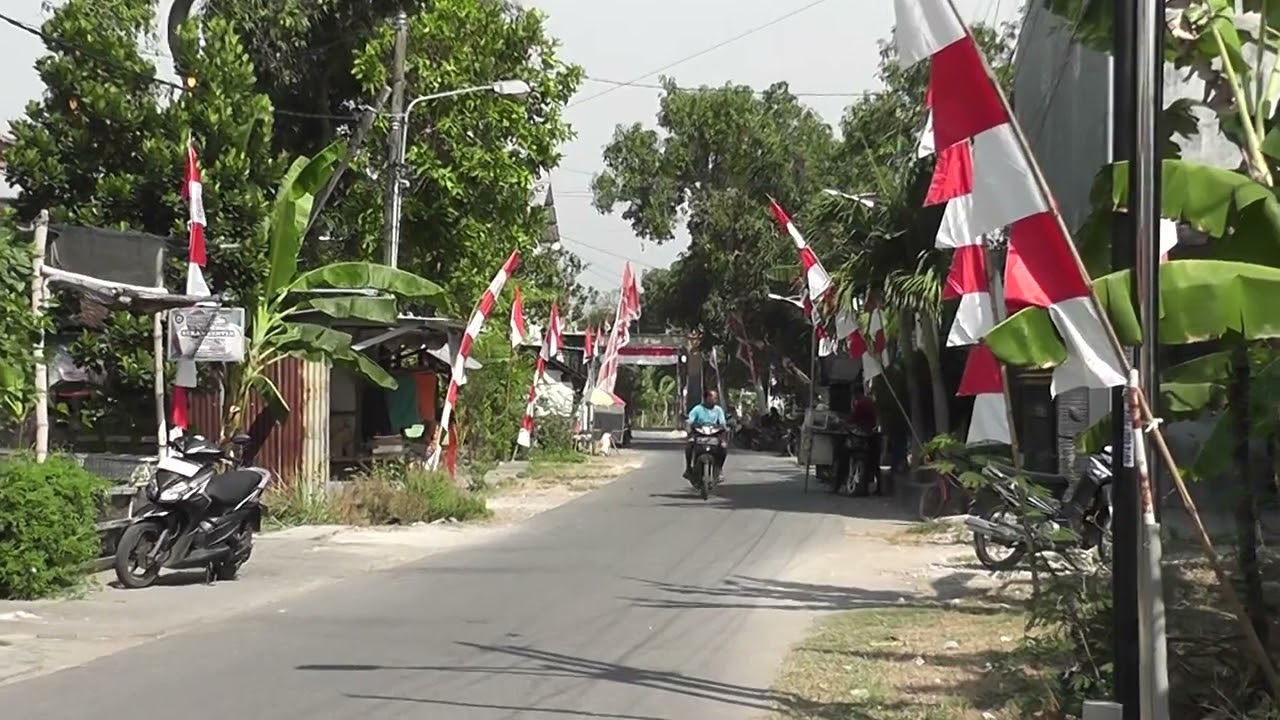 Handycam Panasonic HDC-TM60-S Test Video FHD in 2024