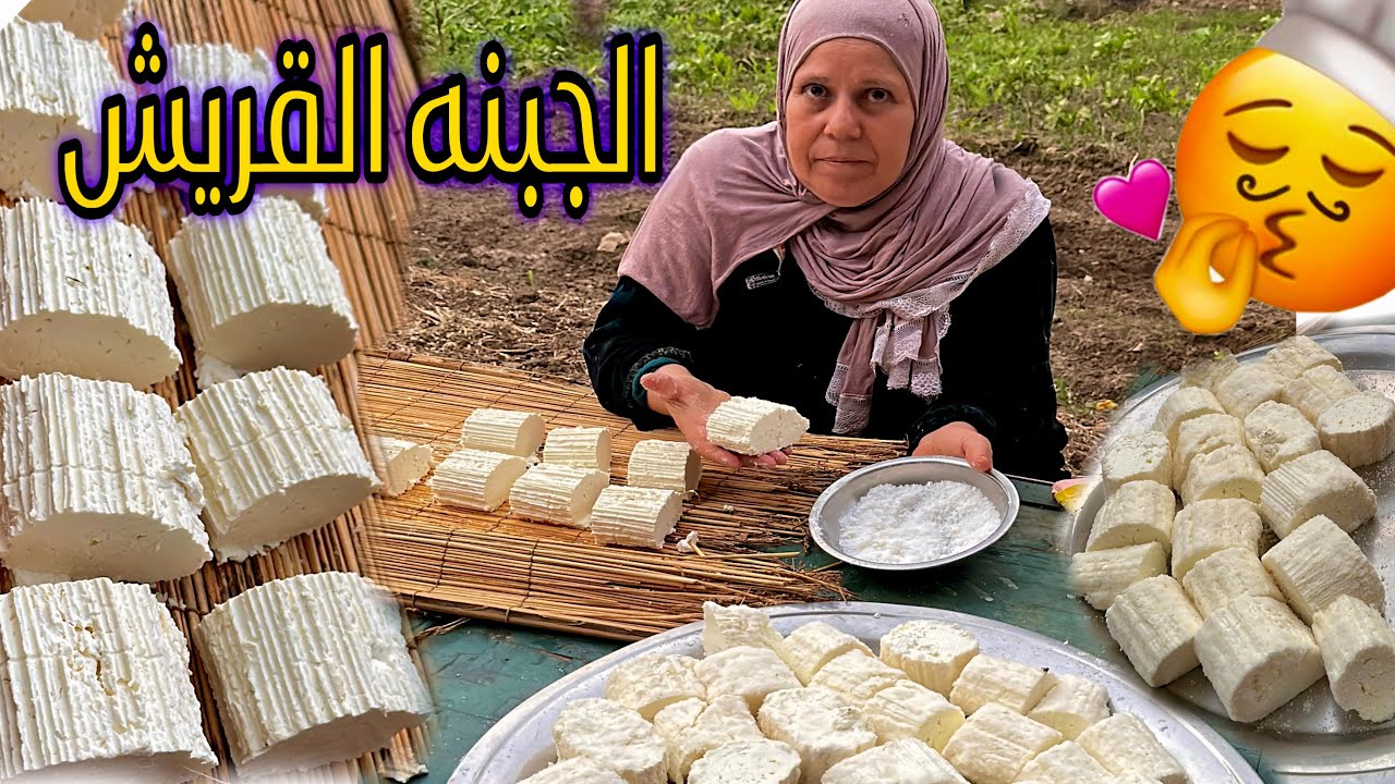 الجبنه القريش مراحلها من اول الحلب الي التقطيع وكل التفاصيل وايه البدايل