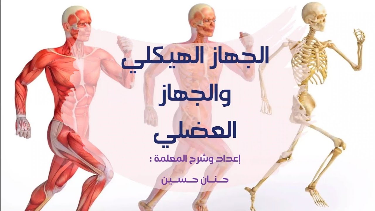 الصف الخامس : الجهاز الهيكلي والجهاز العضلي