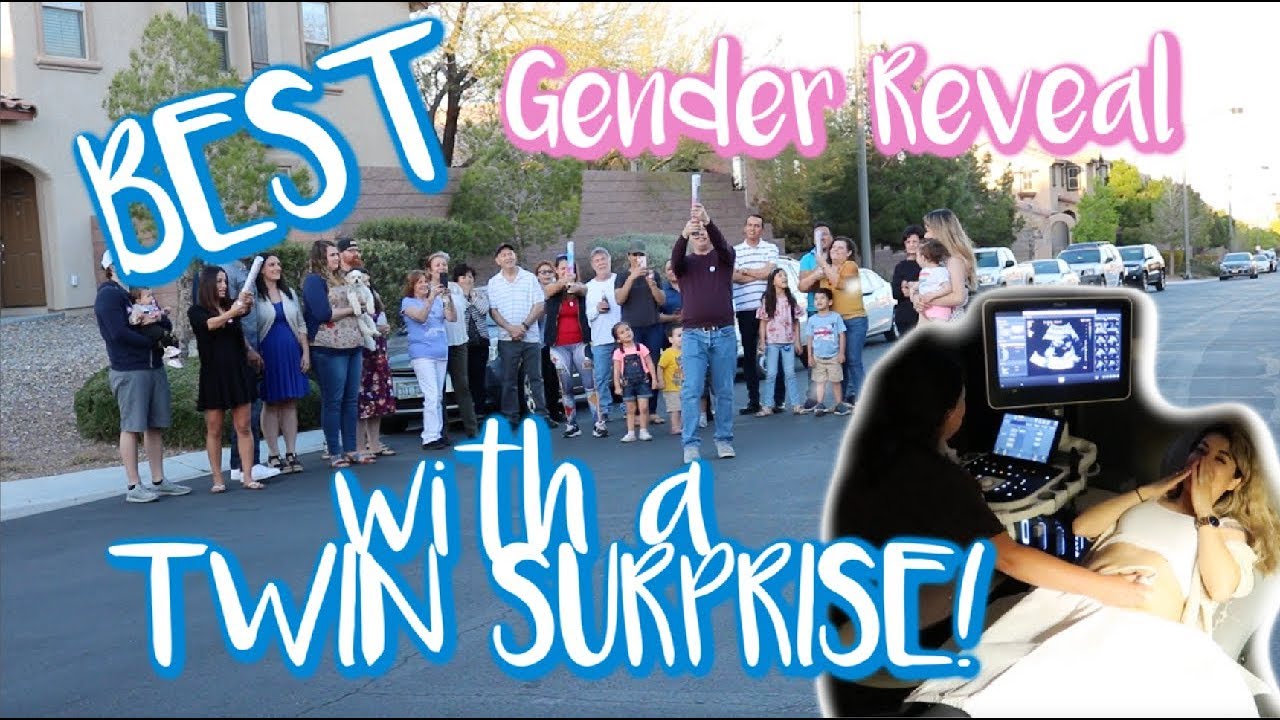 BEST GENDER REVEAL WITH TWIN SURPRISE!