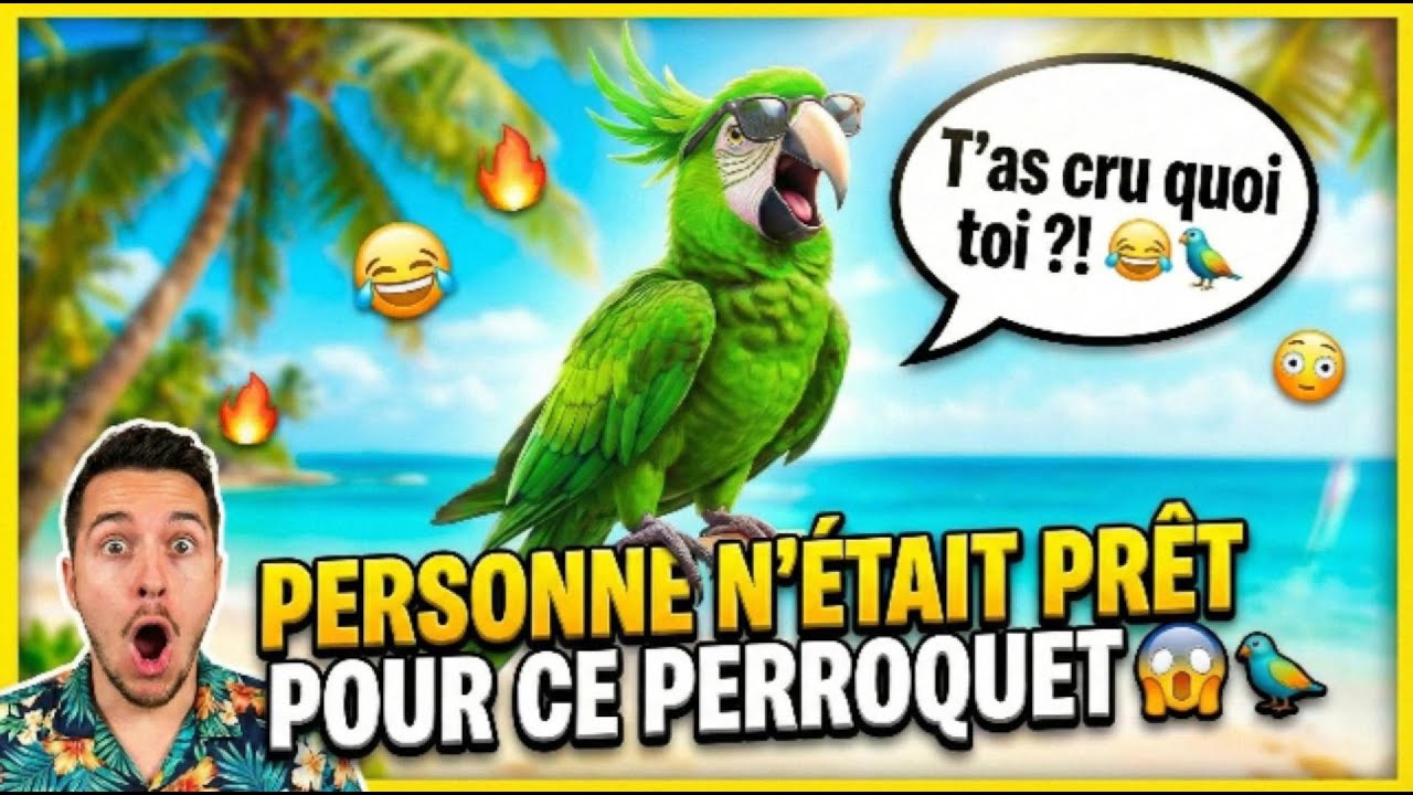 Personne n’était prêt pour ce perroquet