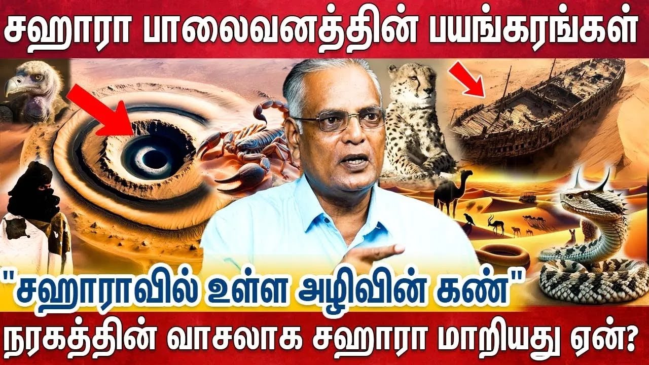 கடும் வெப்பம், விஷ ஜந்துக்கள், வாழ்நாளில் பேயை காட்டும் கொடூர சஹாராவின் மறுபக்கம் | Sahara Desert