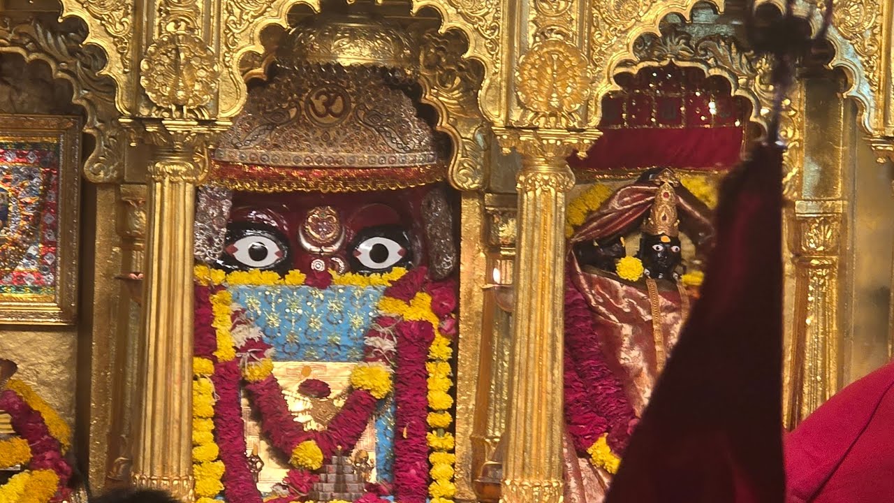 દર શુક્રવાર દંડવત્ યાત્રા પટેલ અલ્પેશભાઈ બાપજી સુંદરણા ધામ તા.પેટલાદ જી.આણંદ