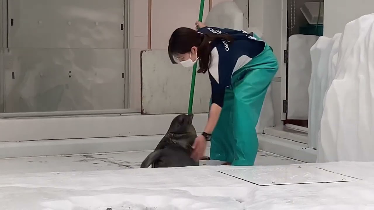 かまって欲しいミゾレ