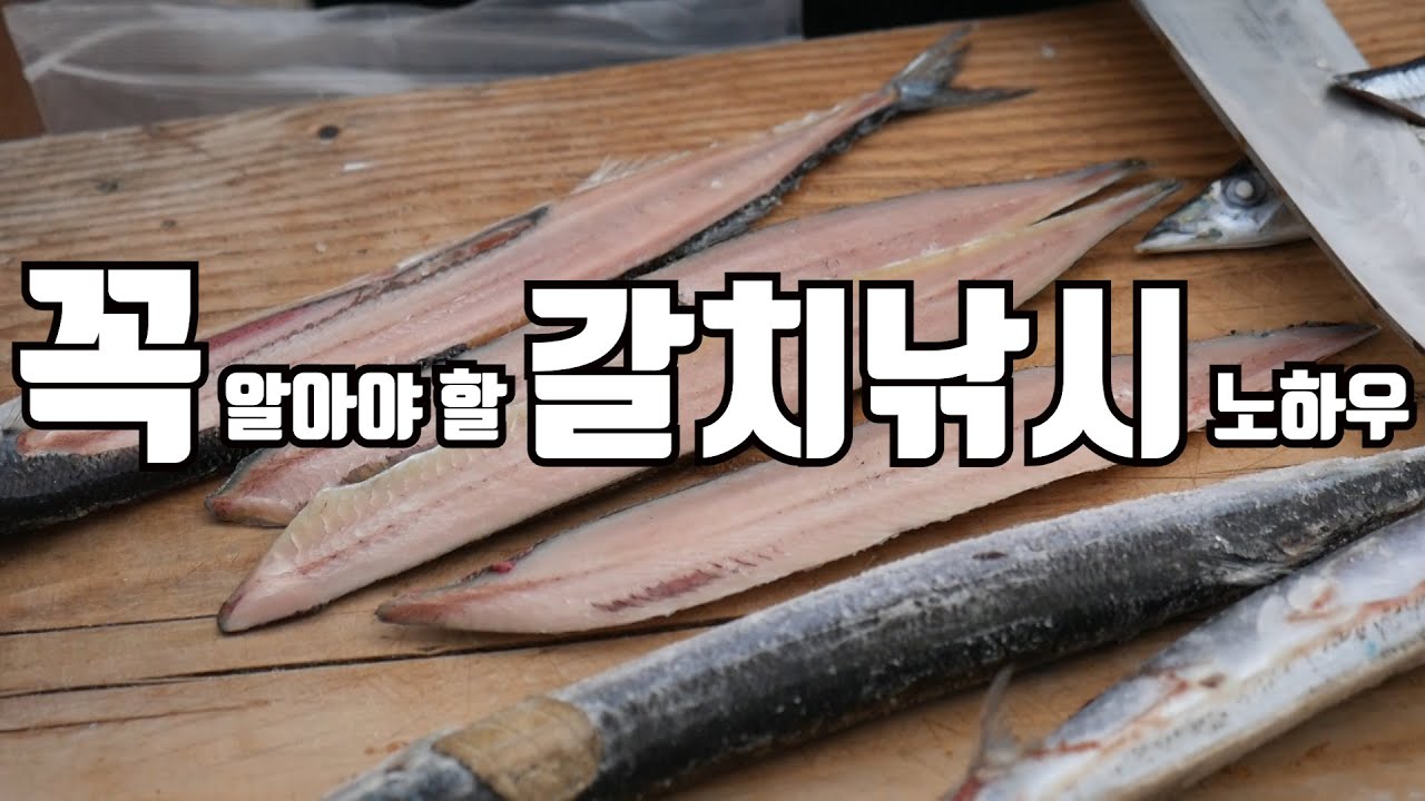 꼭 알아야 할  갈치낚시 노하우 (선상갈치낚시)