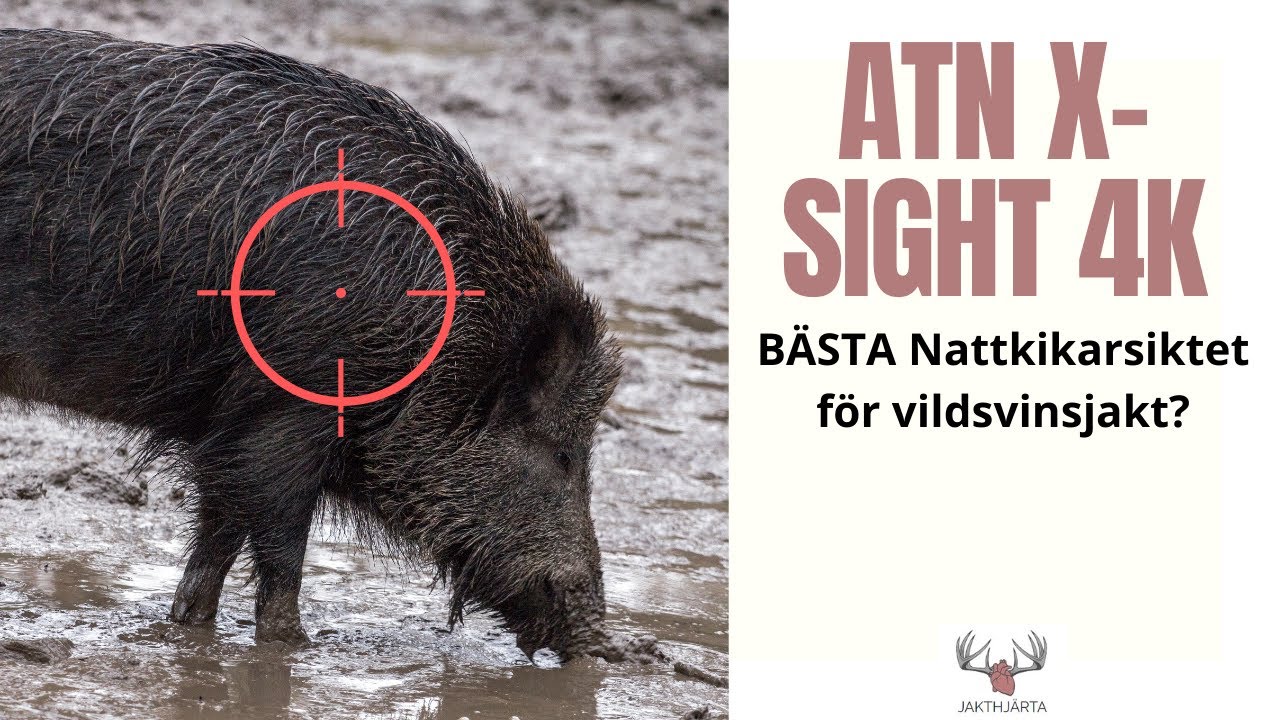 Hur bra är ATN X-Sight 4K HD 3-14x? - nattkikarsikte för vildsvinsjakt