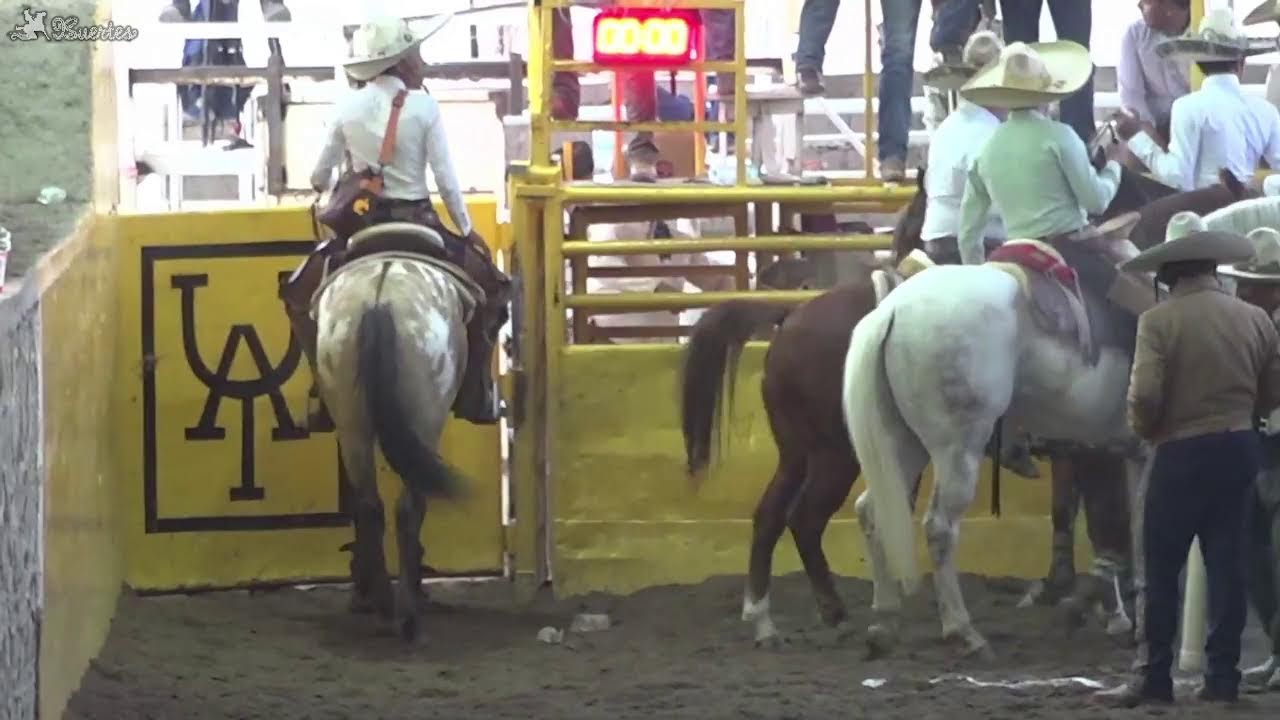 06 abril 2026 - La Colonial COLEADERO DE FERIA 1