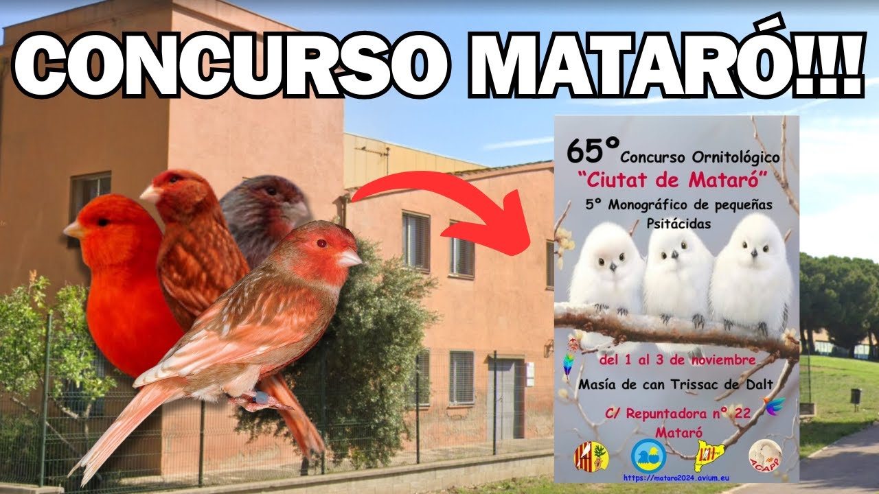 Nos vamos al 65º CONCURSO ORNITOLOGICO de la 