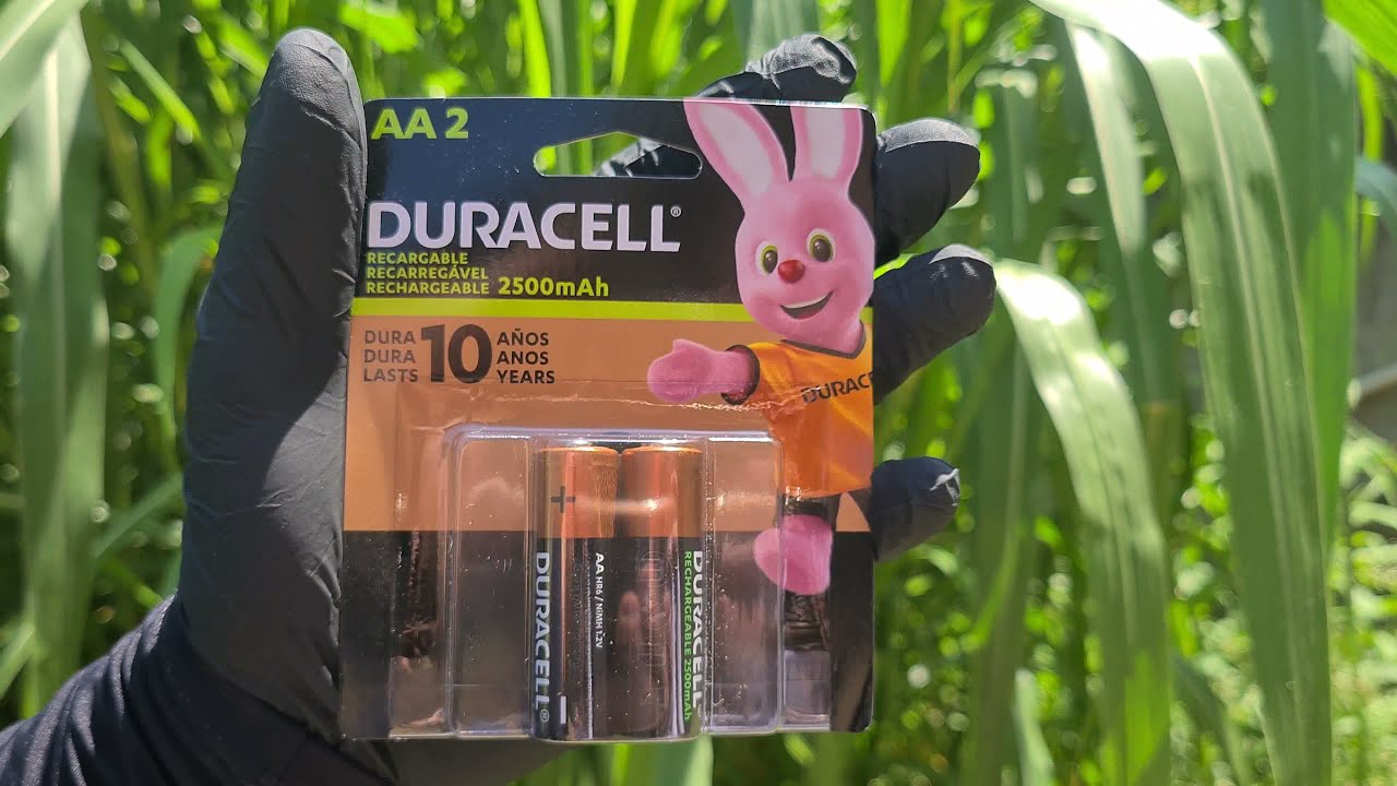2 Pilhas Recarreg&aacute;veis Duracell AA Pequena 2500mAh - 584 MATRIZ ZX Contato