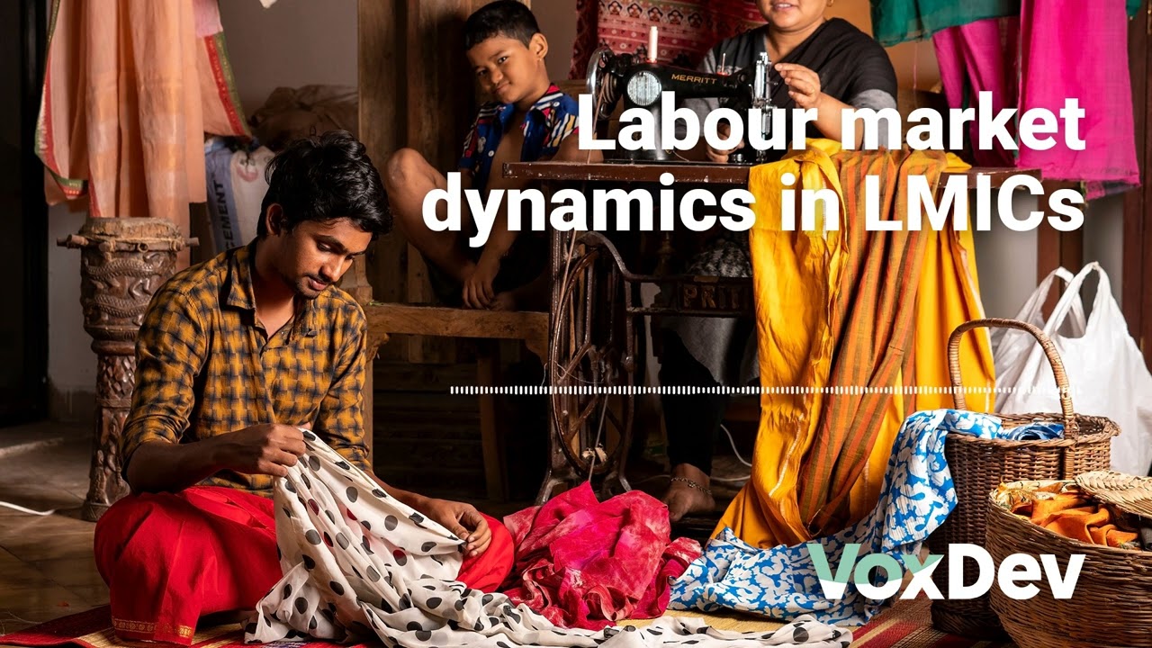Labour market dynamics in low- and middle-income countries
