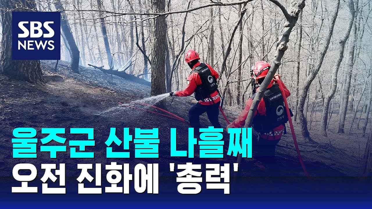 울주군 산불 나흘째…오전 진화에 '총력' / SBS