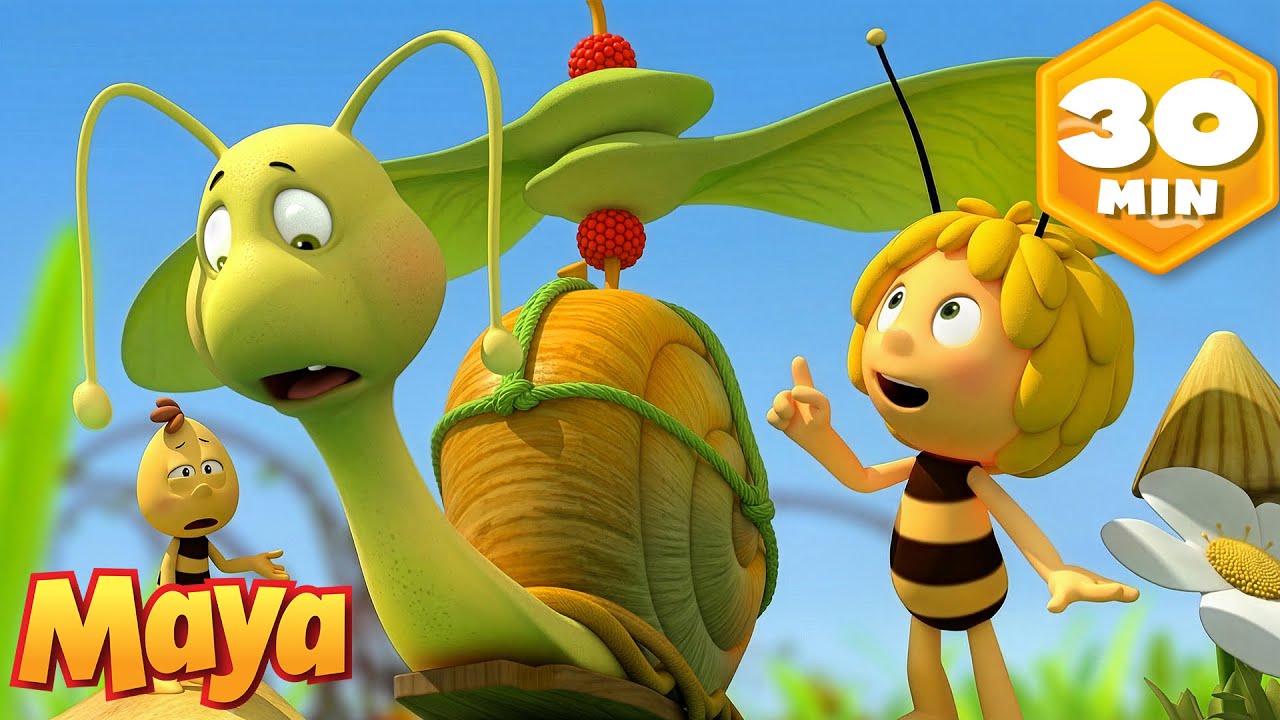 Shelby et son incroyable rêve de voler  🐝 Maya l’Abeille 🐝 Dessin animé pour enfants