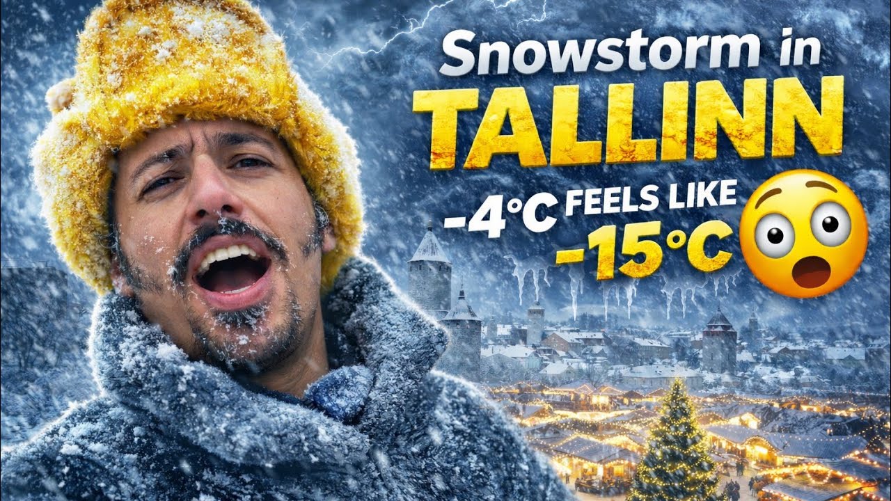 Tallinn snowstorm ❄️ Live
