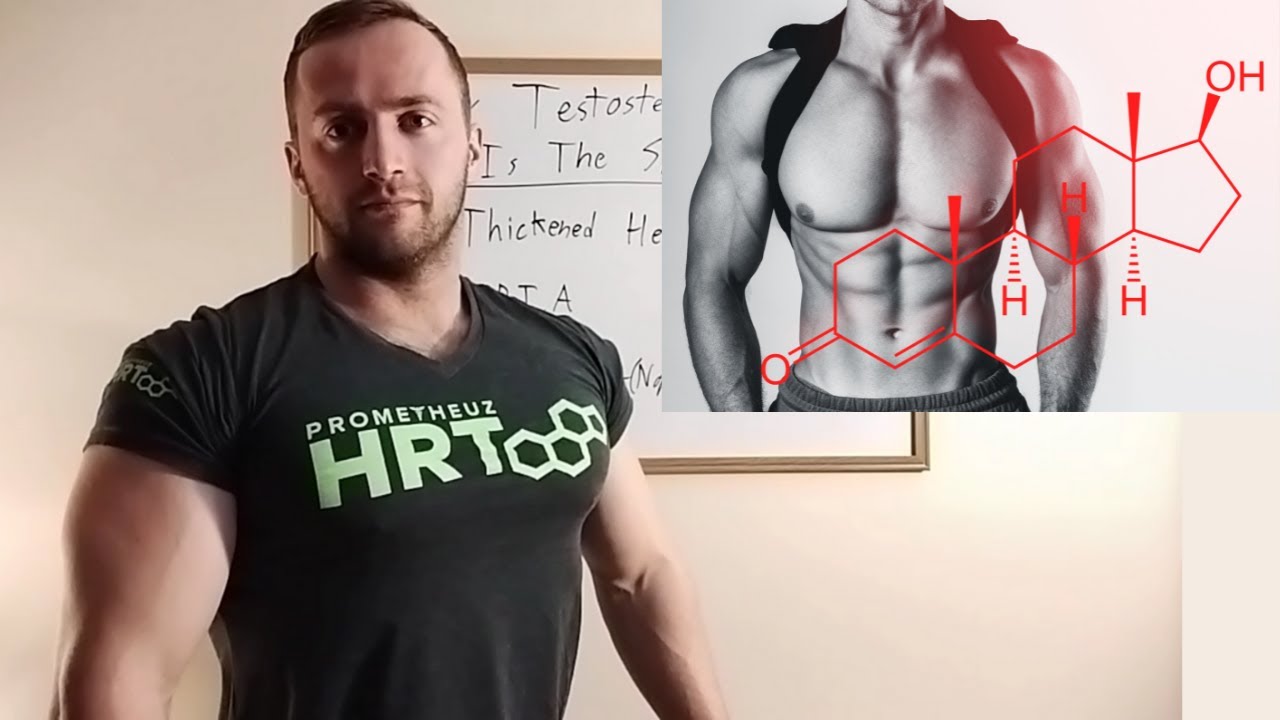 Why Testosterone ONLY is The SAFEST Cycle!