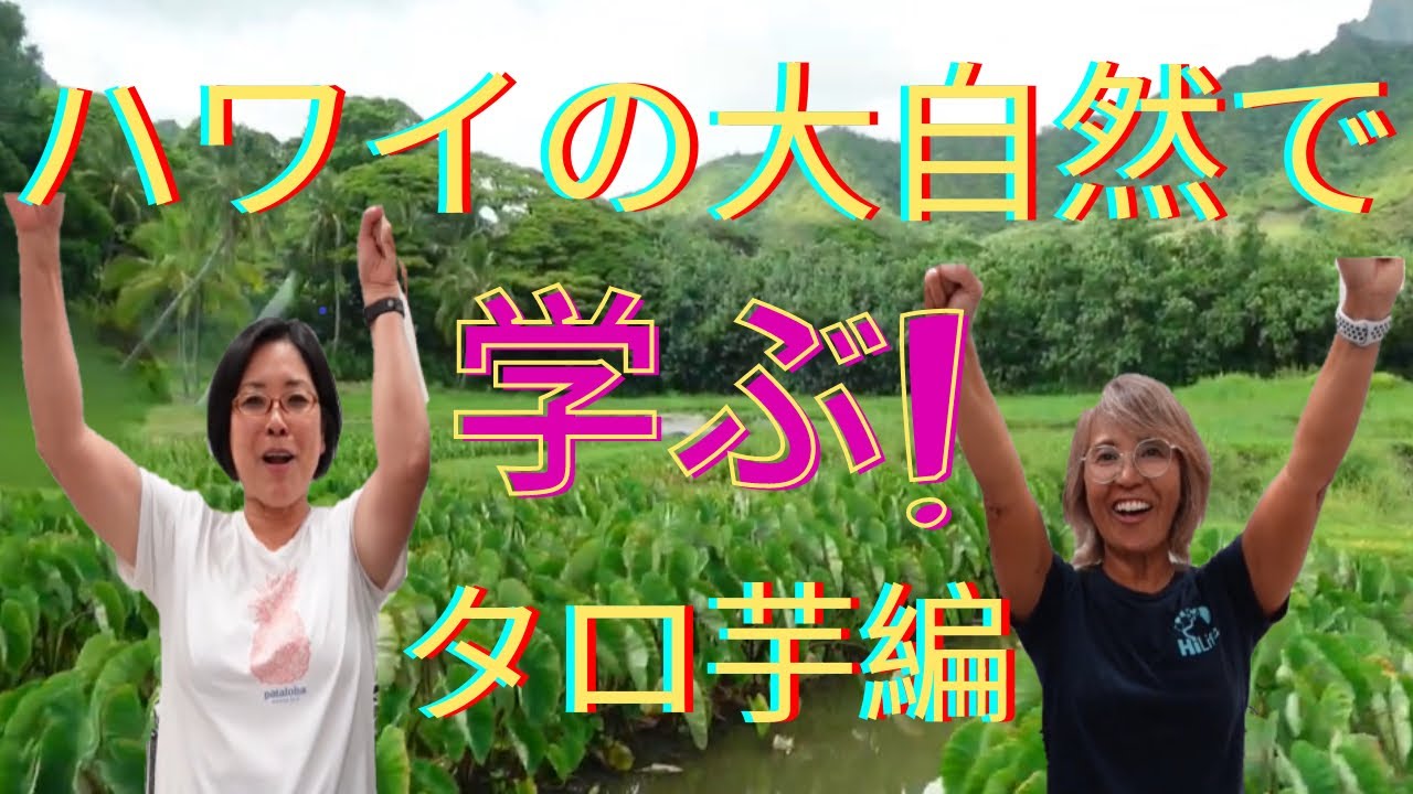 37: 【ハワイ】ハワイの奥は超深い‼　すっごい学んだ・・・　　クアロア牧場　第二弾！　農業編  目から鱗の連続！　ハワイに触れ、学んで、心温まる、探検隊