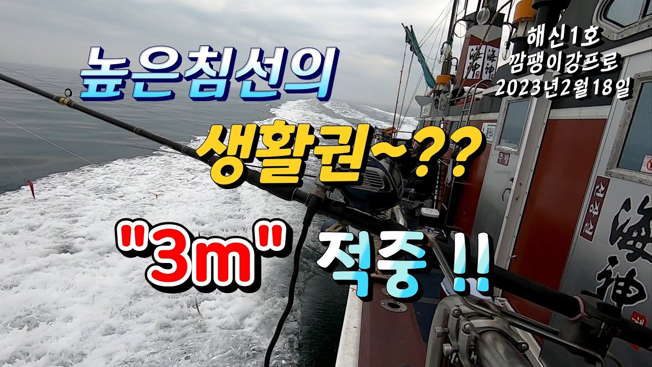 높은침선에서 개우럭들은 