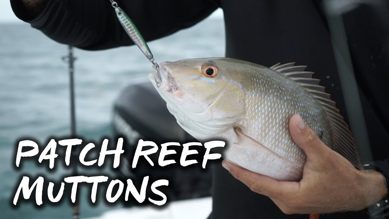 Florida Keys Patch Reef Snapper Fishing