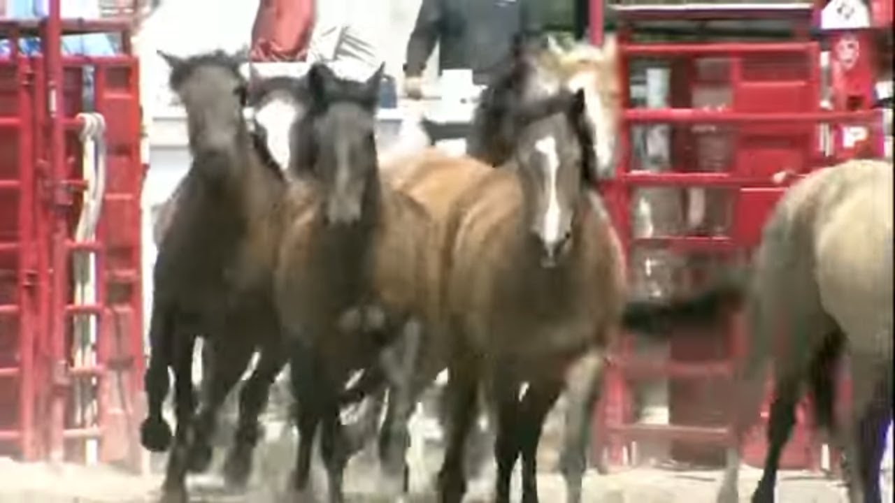 2024  Cheyenne Frontier Days Finals