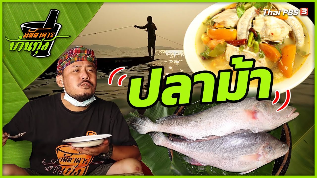 ปลาม้า | ภัตตาคารบ้านทุ่ง