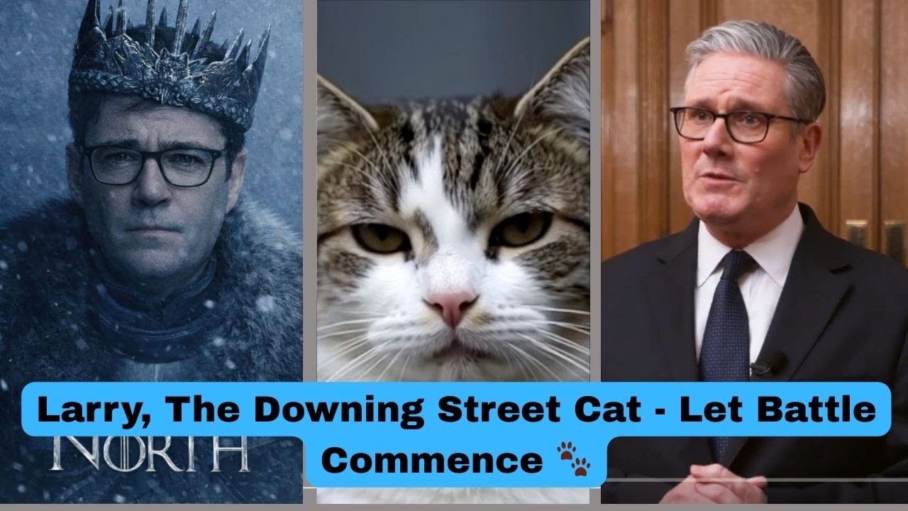 Larry, The Downing Street Cat -  Let Battle commence 🐾