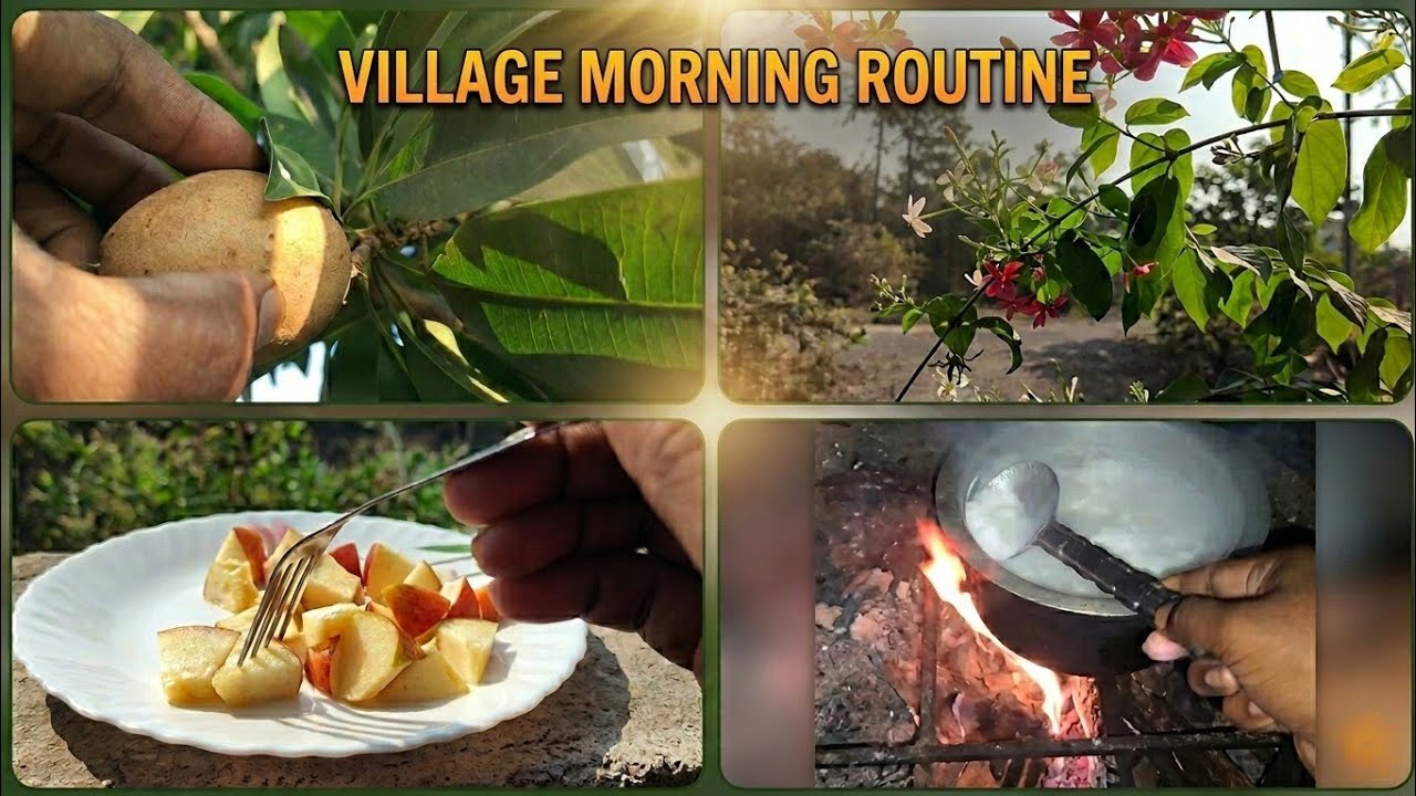 Village Routine | Cooking | Chiku Harvest| Enjoying Nature, Flowers & Trees|Cleaning