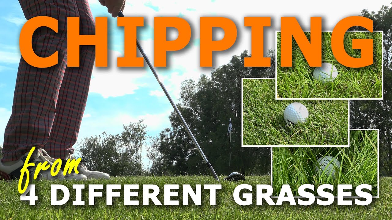 How to chip from different lenghts of grass? Fringe, First cut, Rough and Deep rough.