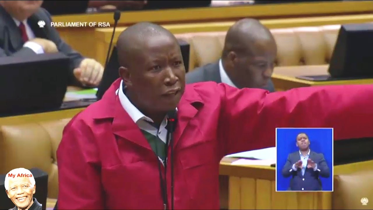 Julius Malema 
