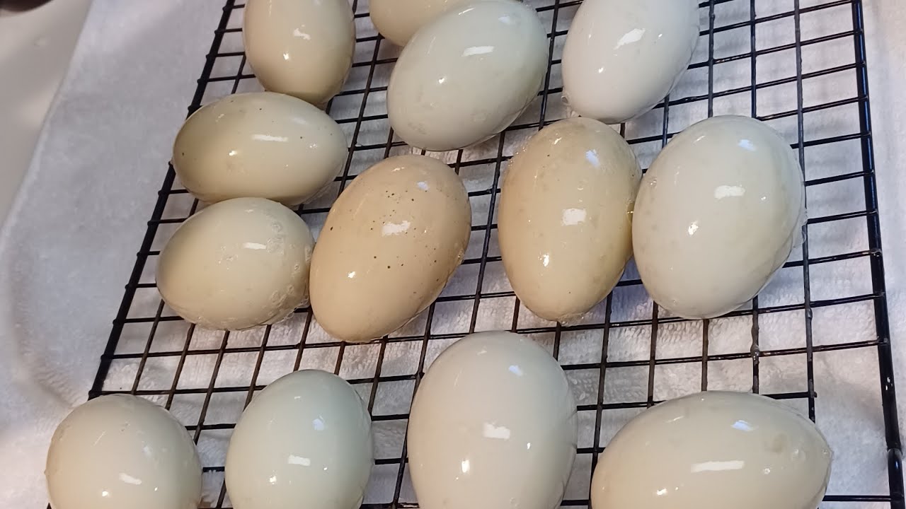 How To Put A Second Bloom On Washed Eggs