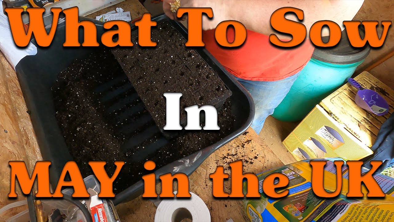 What To Plant In MAY UK | Grow Your own Food | Seeds For May