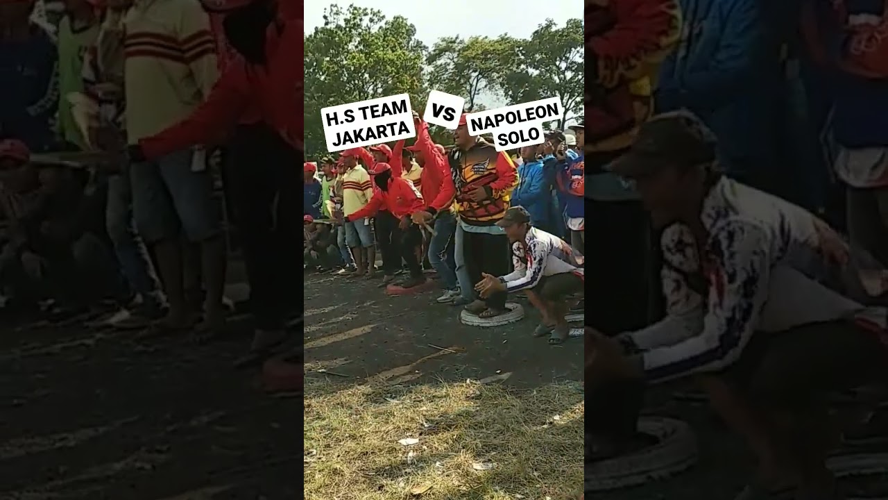H.S JAKARTA VS NAPOLEON SOLO #merpatibalap #ppmbsi #shortvideo #pigeons #merpatilovers