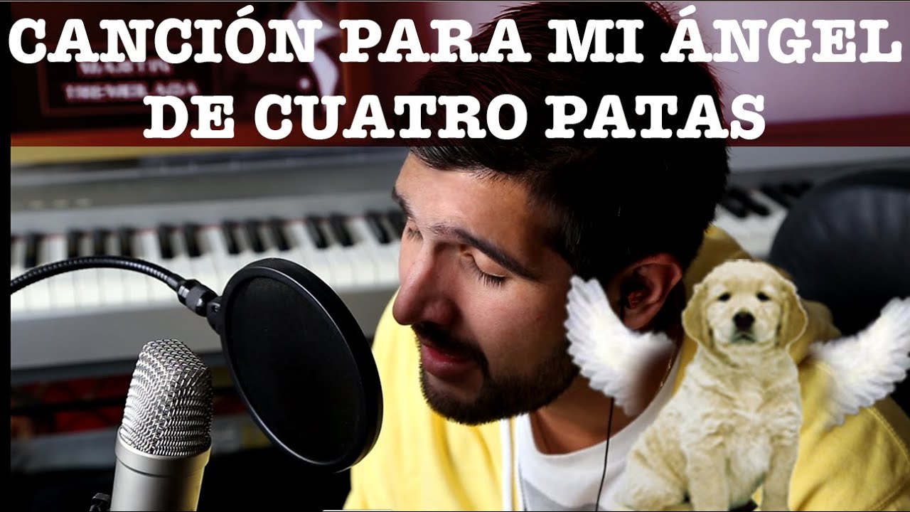 Canción Para Las Mascotas Que Ya No Están Parte 2 - Martín Tremolada