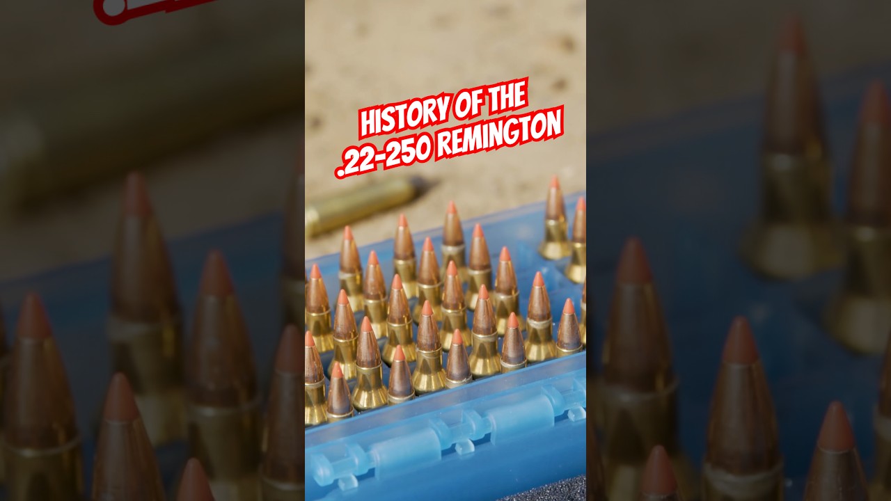 История &laquo;22 Варминтер&raquo;