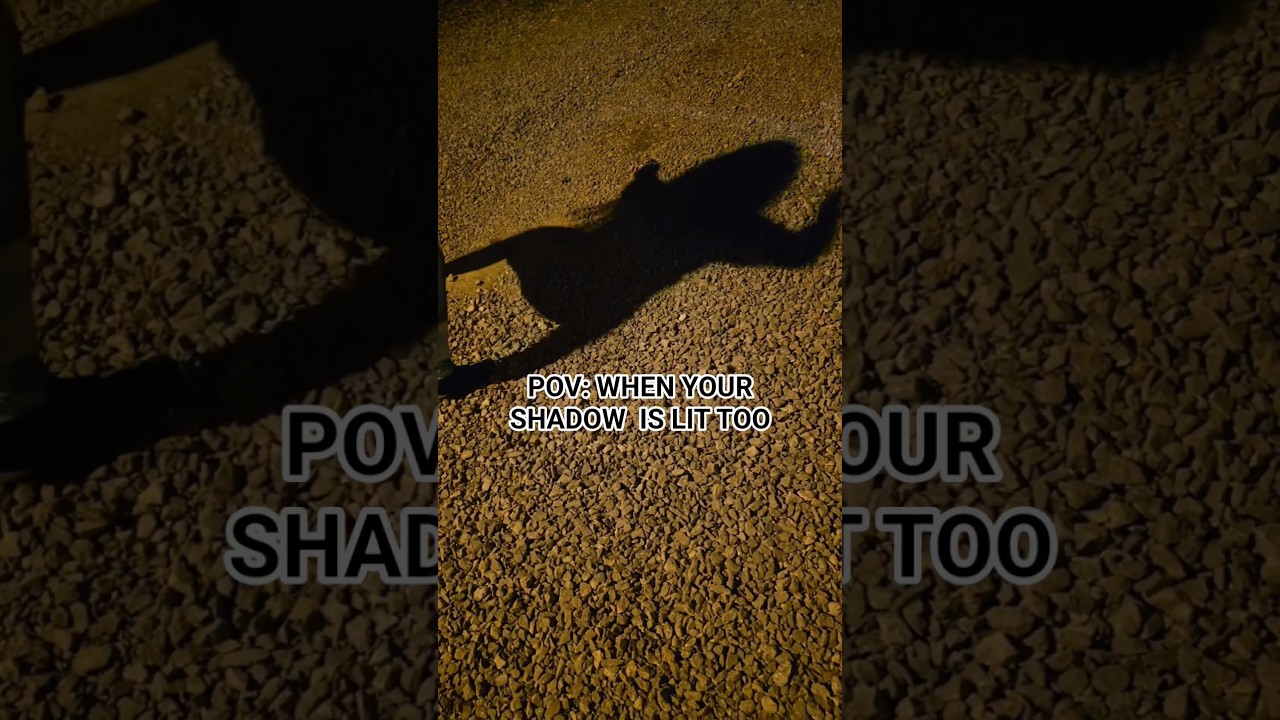 POV: When Your Shadow Understand the Assignment