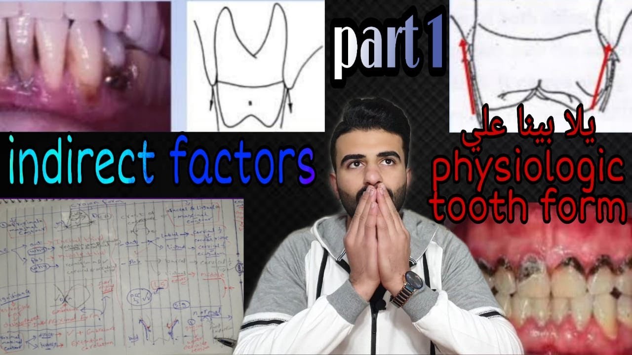شرح ال physiologic tooth form _ البارت الأول