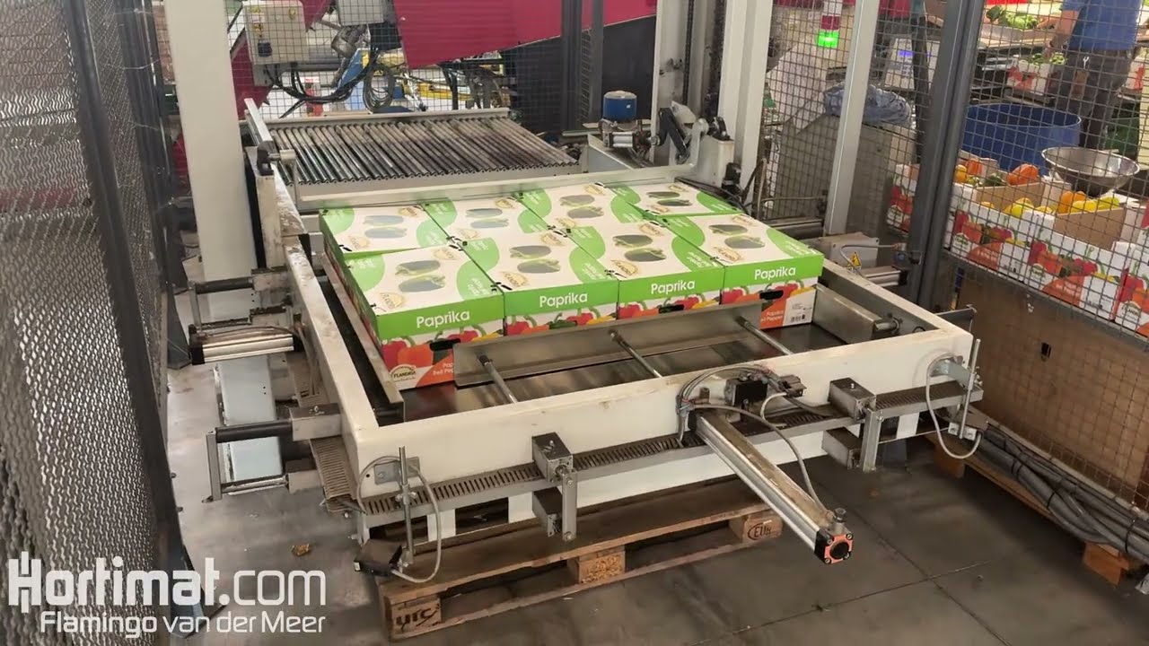 Taks/Aweta/Sorma - Complete pepper unloading, grading and palletizing installation -