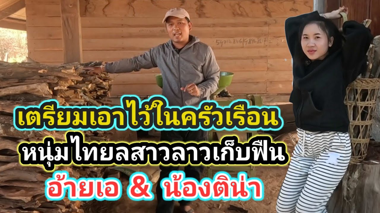 #สาวลาว #น้องติน่า วันนี้พ่อแม่ของสาวลาวมอบหมายให้หนุ่มไทยจัดเตรีมฟืนไว้ใช้งานในครัวเรือนของพวกเรา