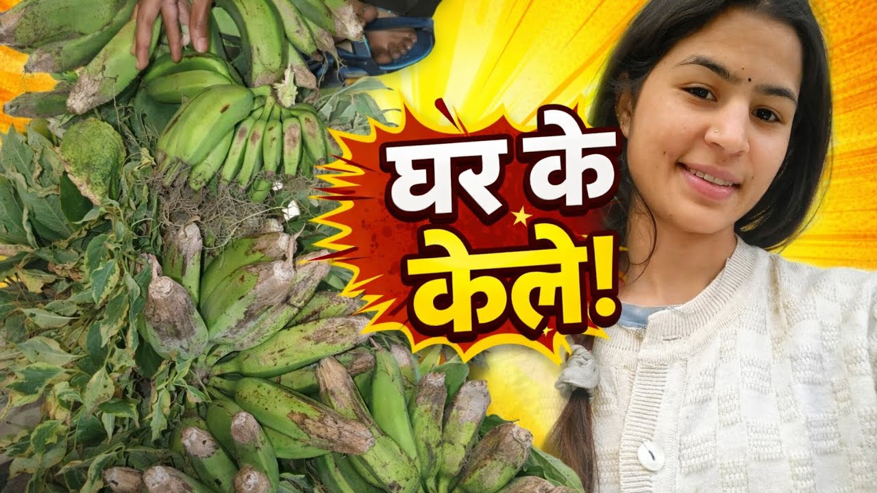 आज का  vlog रहेगा थोड़ा हट के 😁🫣 !! Saru bhandari vlog !!