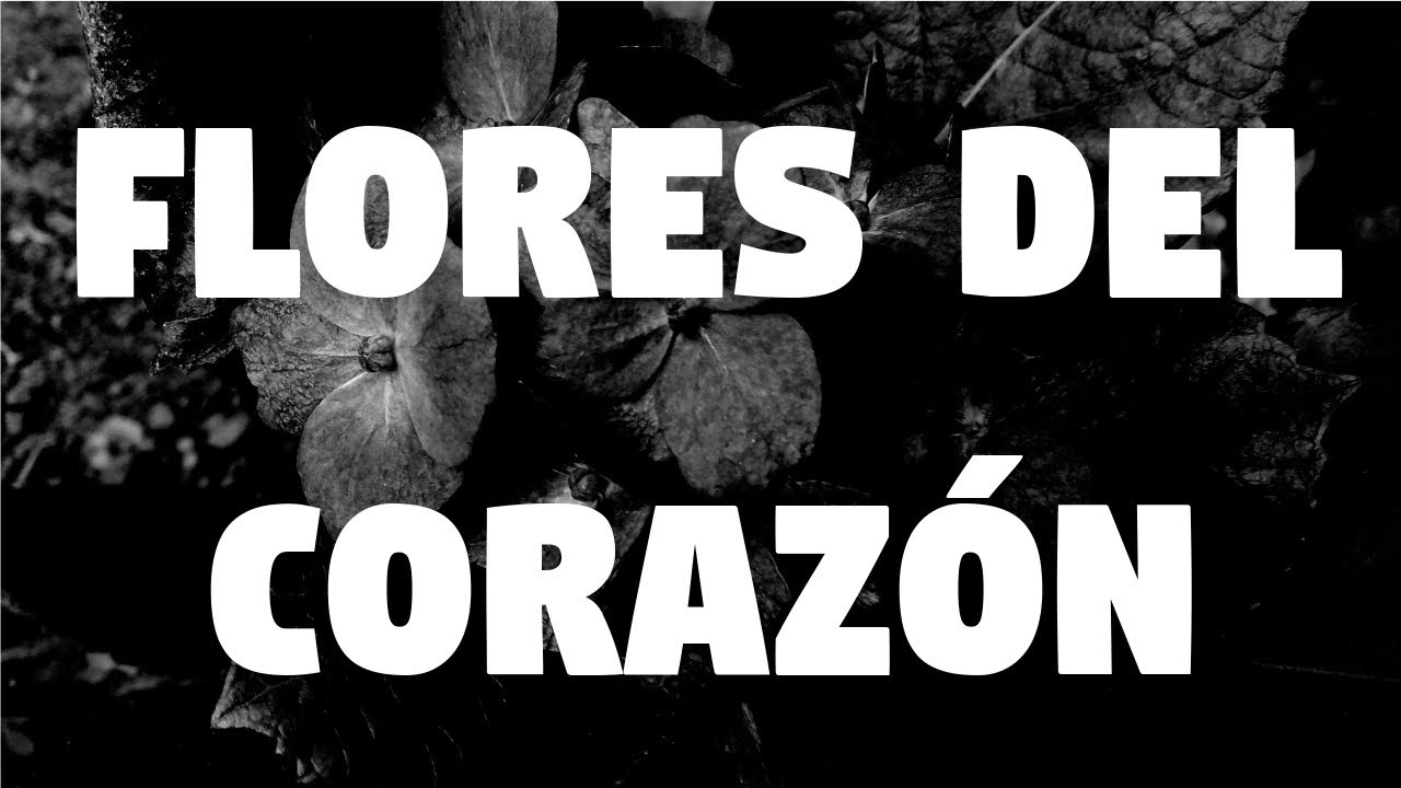 Yann Astra - Flores del Corazón [Lyrics Video]
