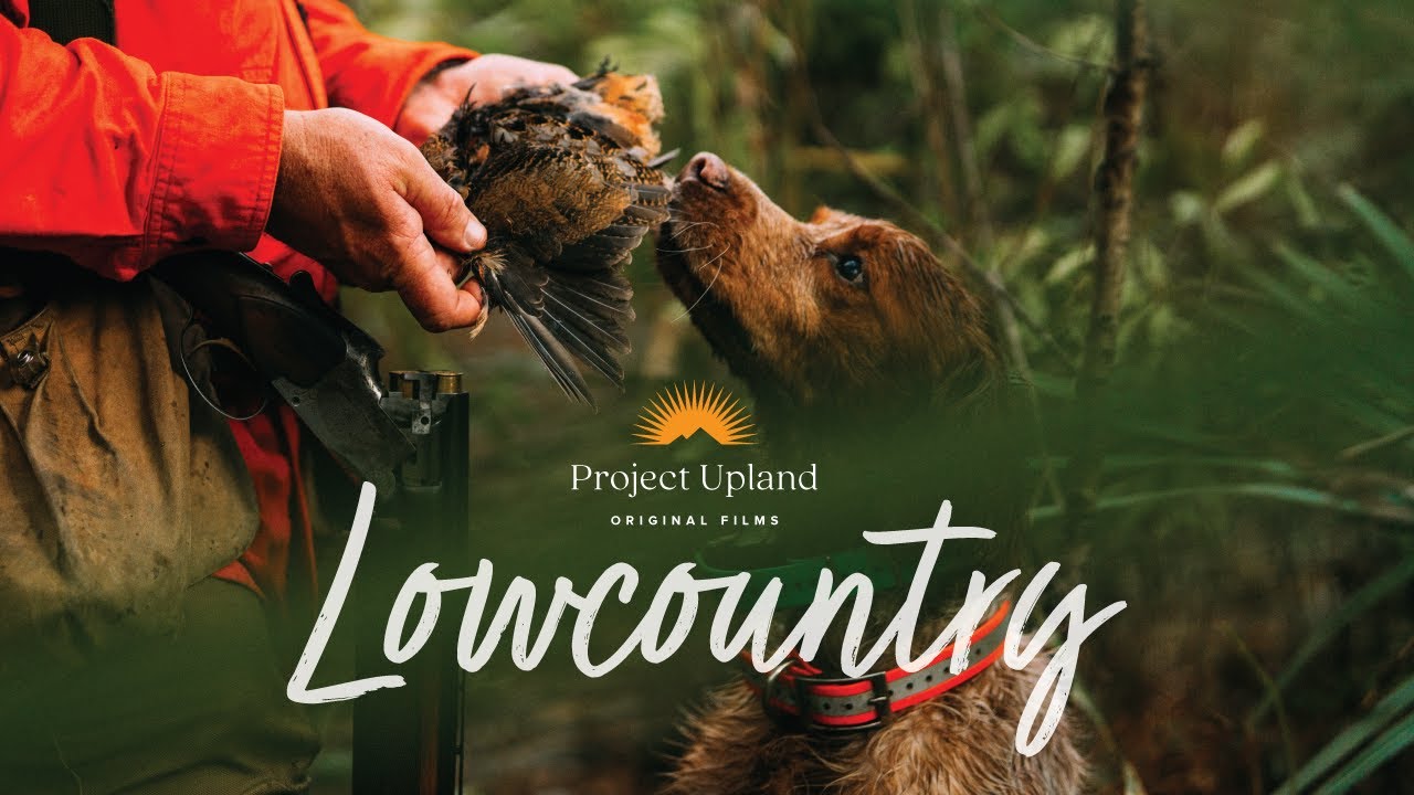 Lowcountry Hunting: Woodcock & Clapper Rail in South Carolina