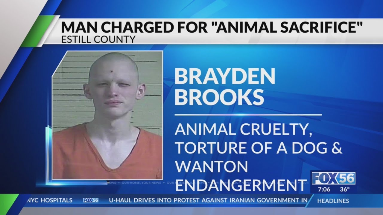 Estill County man arrested for dog killing in alleged Marine Corps ritual
