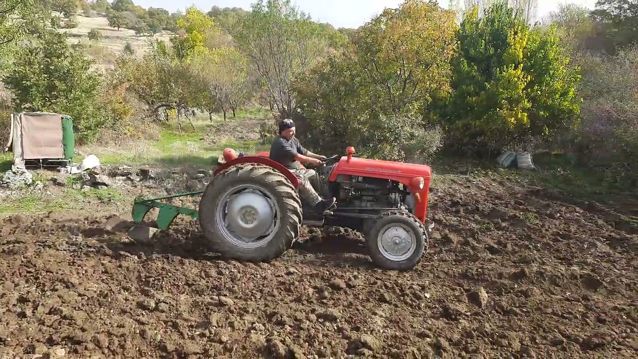 2 Kasım 2025