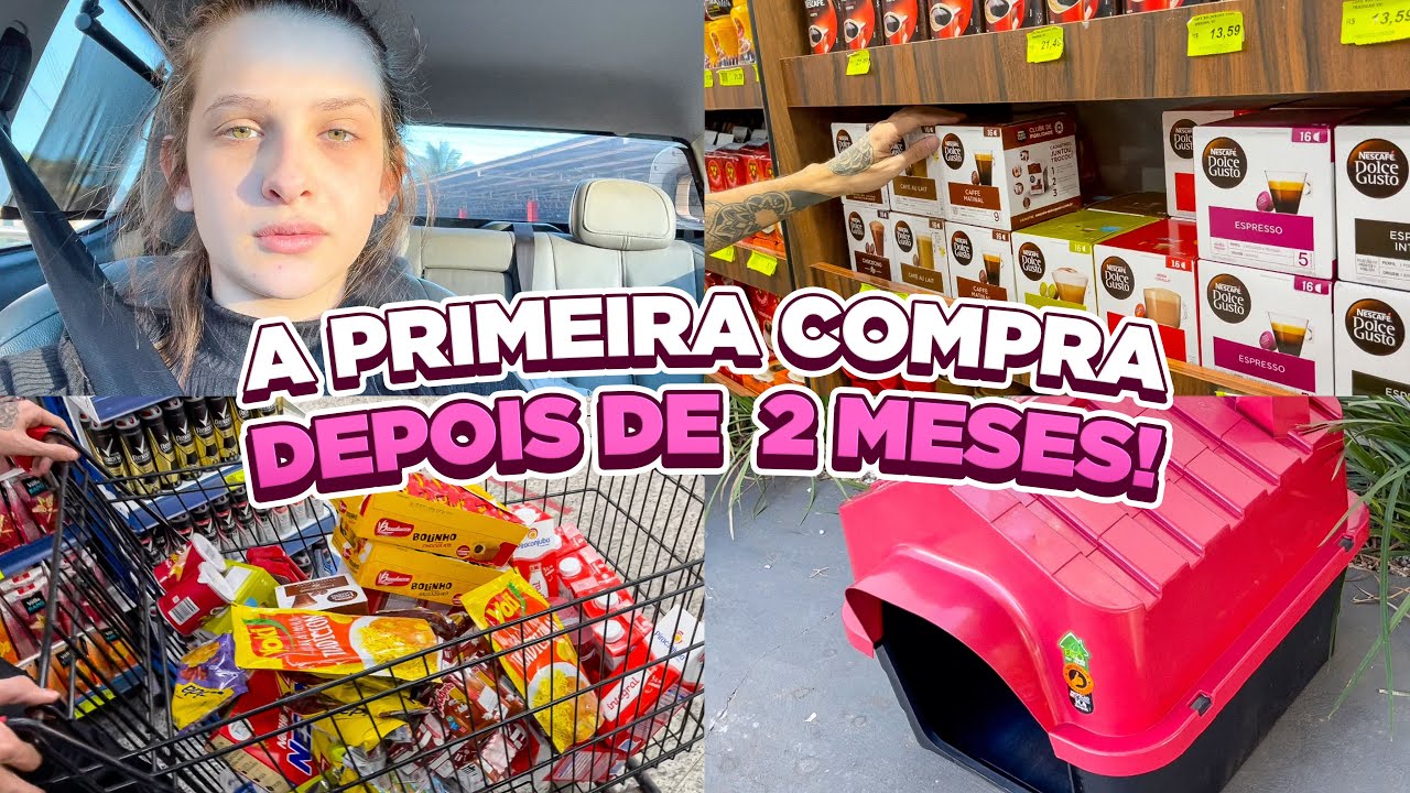 COMPRAS DO MÊS NO MERCADO, FICOU MUITO CARO! 😱 CASINHA PROS DOGS + COMPRINHAS DE FRIO 🥶