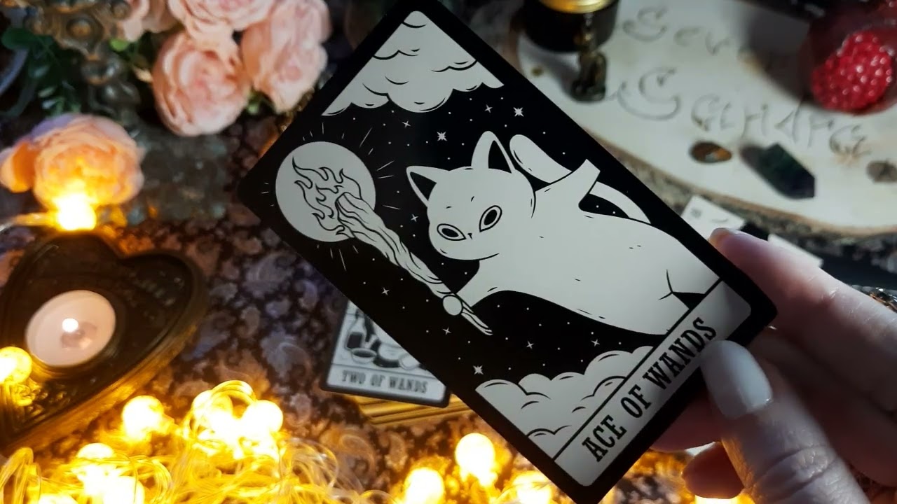 KITTEN TAROT Таро Обзор Мистических Кошек.