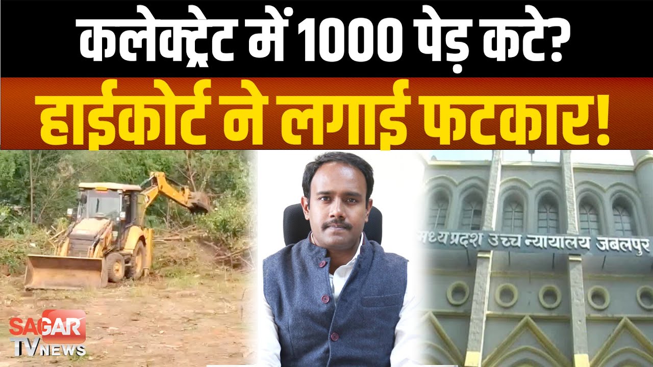 सागर कलेक्ट्रेट में पेड़ों का सफाया! हाईकोर्ट सख्त, कलेक्टर से मांगी पूरी रिपोर्ट, ‘रामवन’ को उजाड़ा