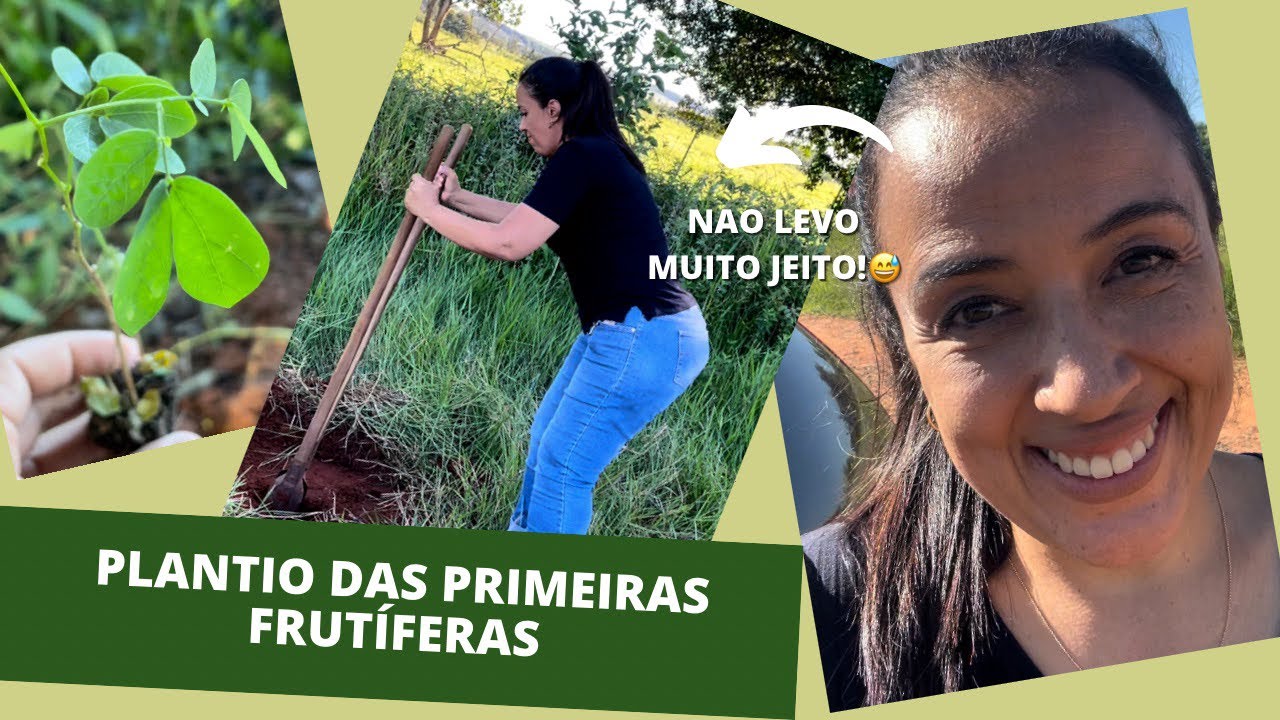 Começando uma chácara do zero | Plantio das primeiras frutíferas | Erros de gravação no final