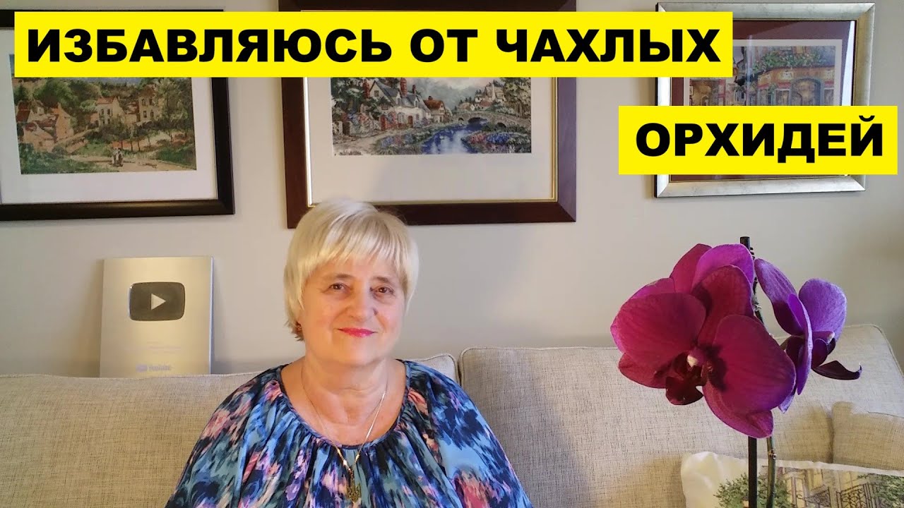 ИЗБАВЛЯЮСЬ ОТ ЧАХЛЫХ ОРХИДЕЙ..УМЕЛЕЦ ДЛЯ ШКАФА НАШЁЛСЯ..СИДИМ НА ЛАВОЧКЕ