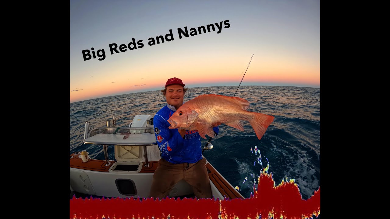 Fishing the Reef | Big reds and Nanny's