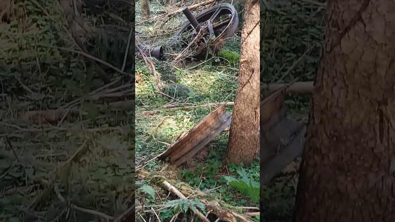 Really old logging equipment #finding #forestry #nature #pulleys #cable
