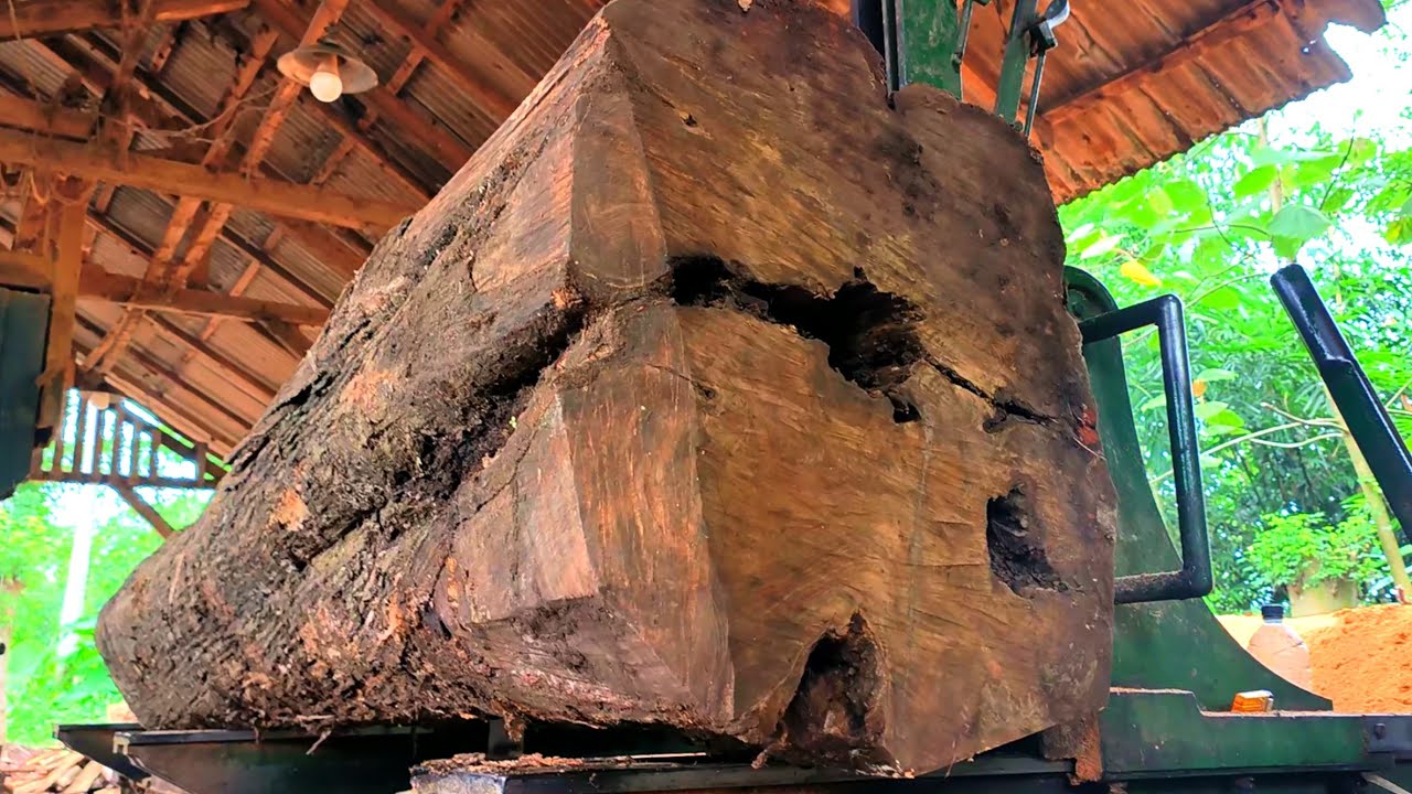 Uncovering the secrets behind hollow wood, the process of splitting wood in a sawmill 